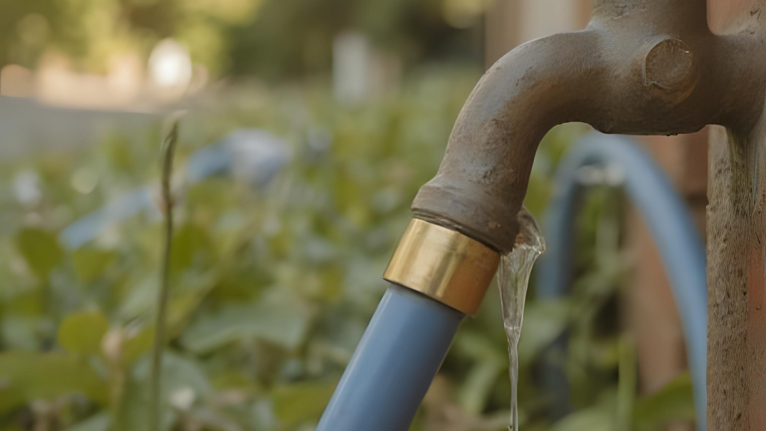 Avoid These Common Garden Hose Mistakes (And How to Fix Them!)