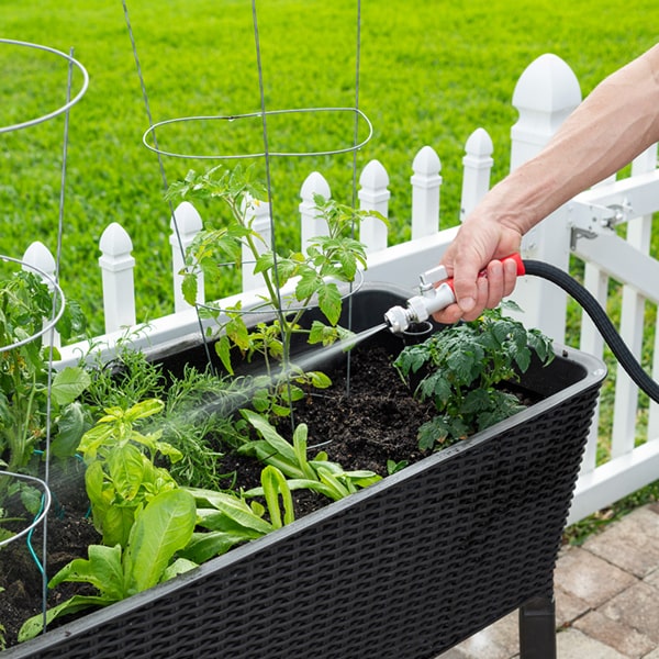 Silver Bullet in use watering a raised herb garden