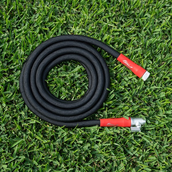 Silver Bullet compactly coiled on lawn
