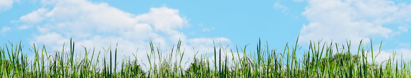 Landscape image