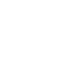 Durability Icon