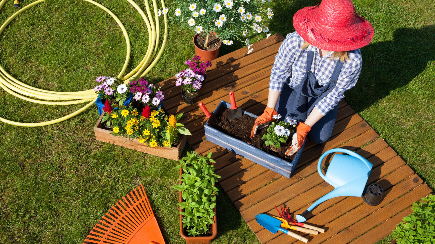 25 Gardening Tips Every Gardener Should Know