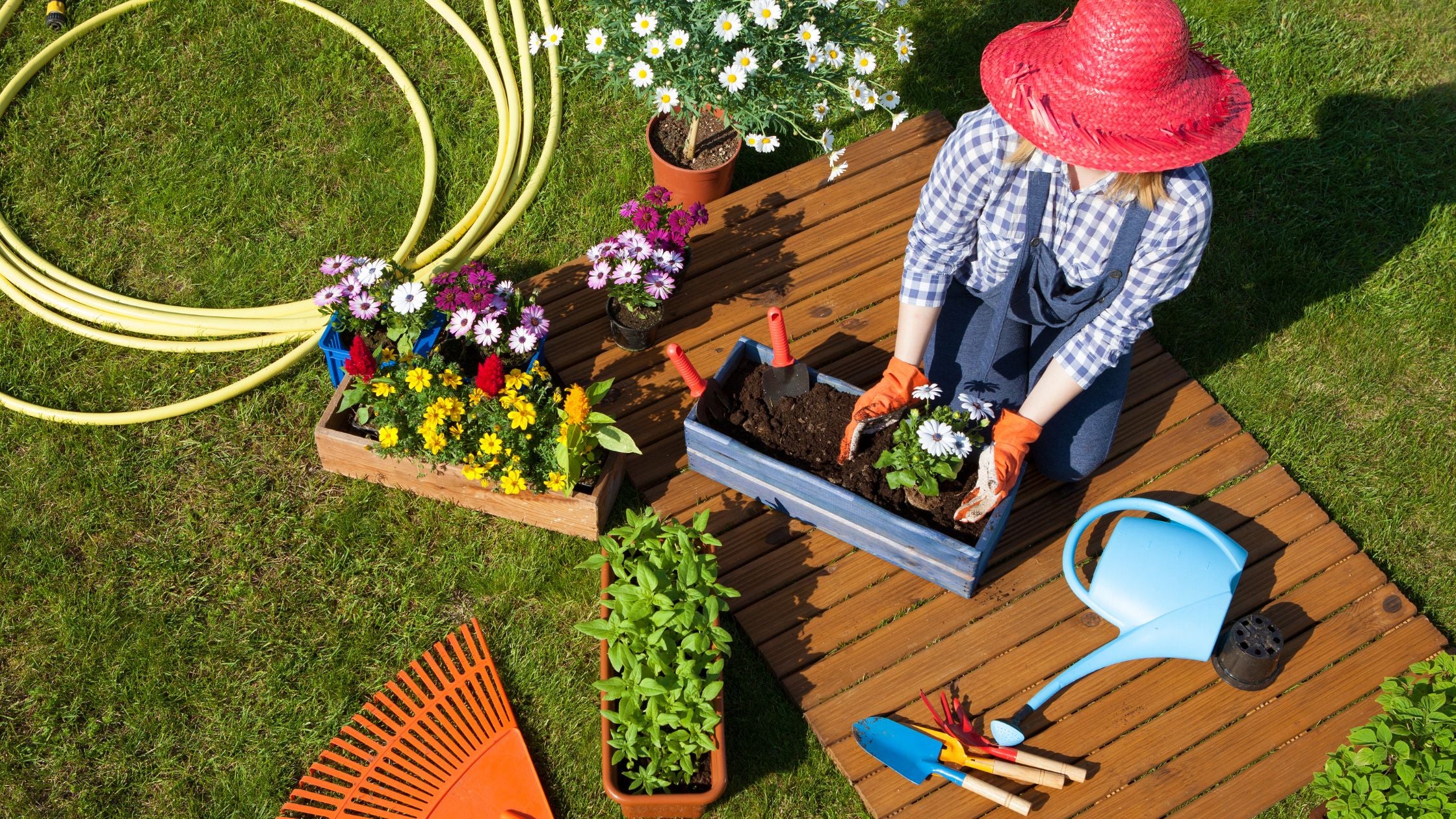 25 Gardening Tips Every Gardener Should Know