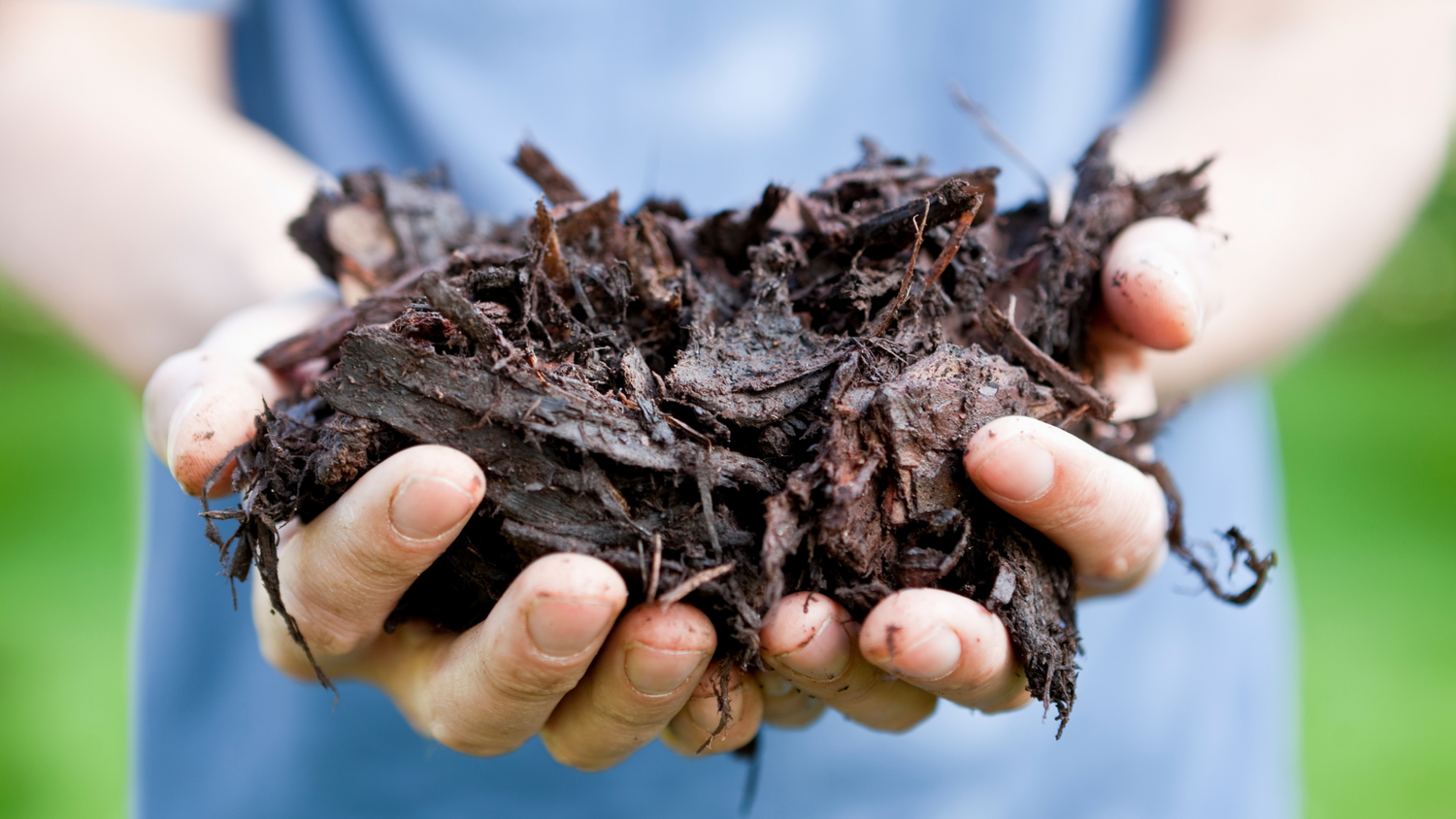 9 Ways to Avoid the Worst Mulch Mistakes in Your Garden