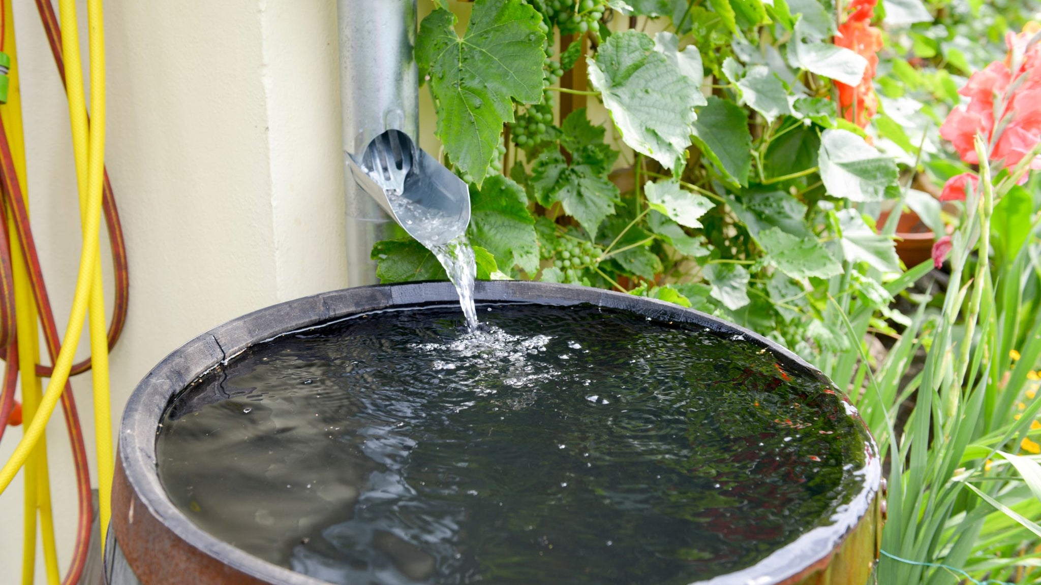 Rain Barrel Basics: A Comprehensive Guide for Beginners