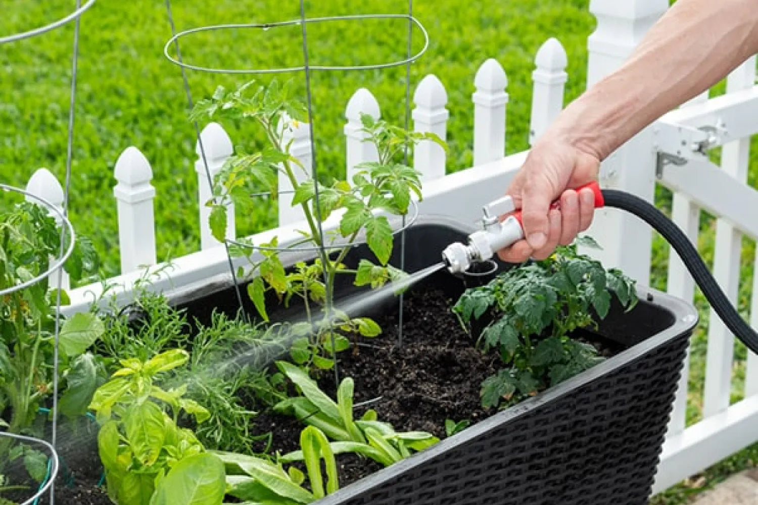 What Makes a Garden Hose Memory-Free? A Simple Guide to Kink-Free Watering