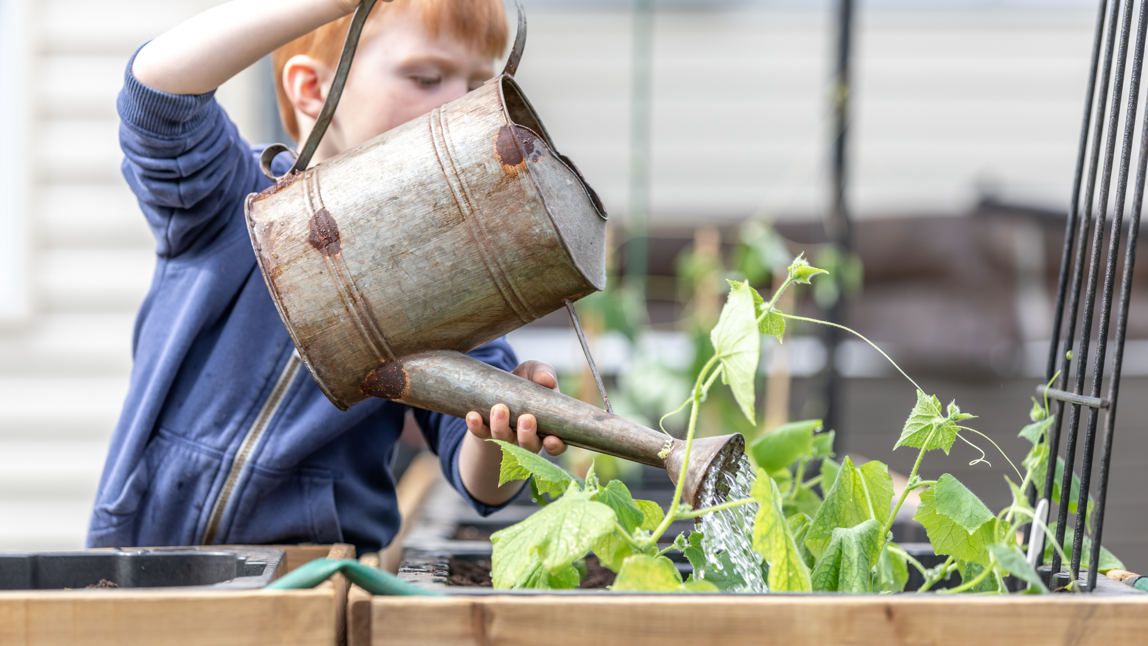 Transforming Your Garden with the Right Watering Techniques