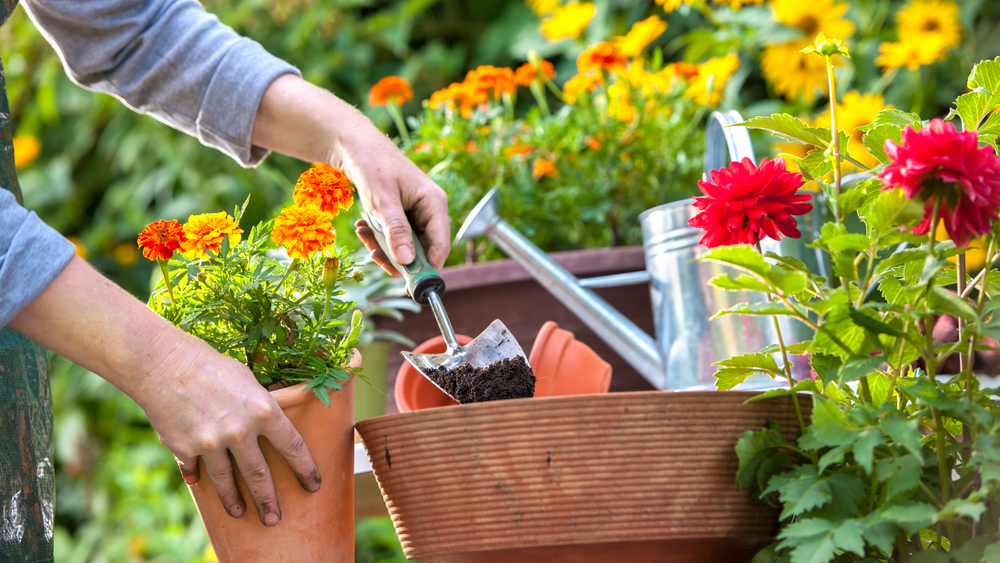 14 Most Clever Gardening Tips and Ideas