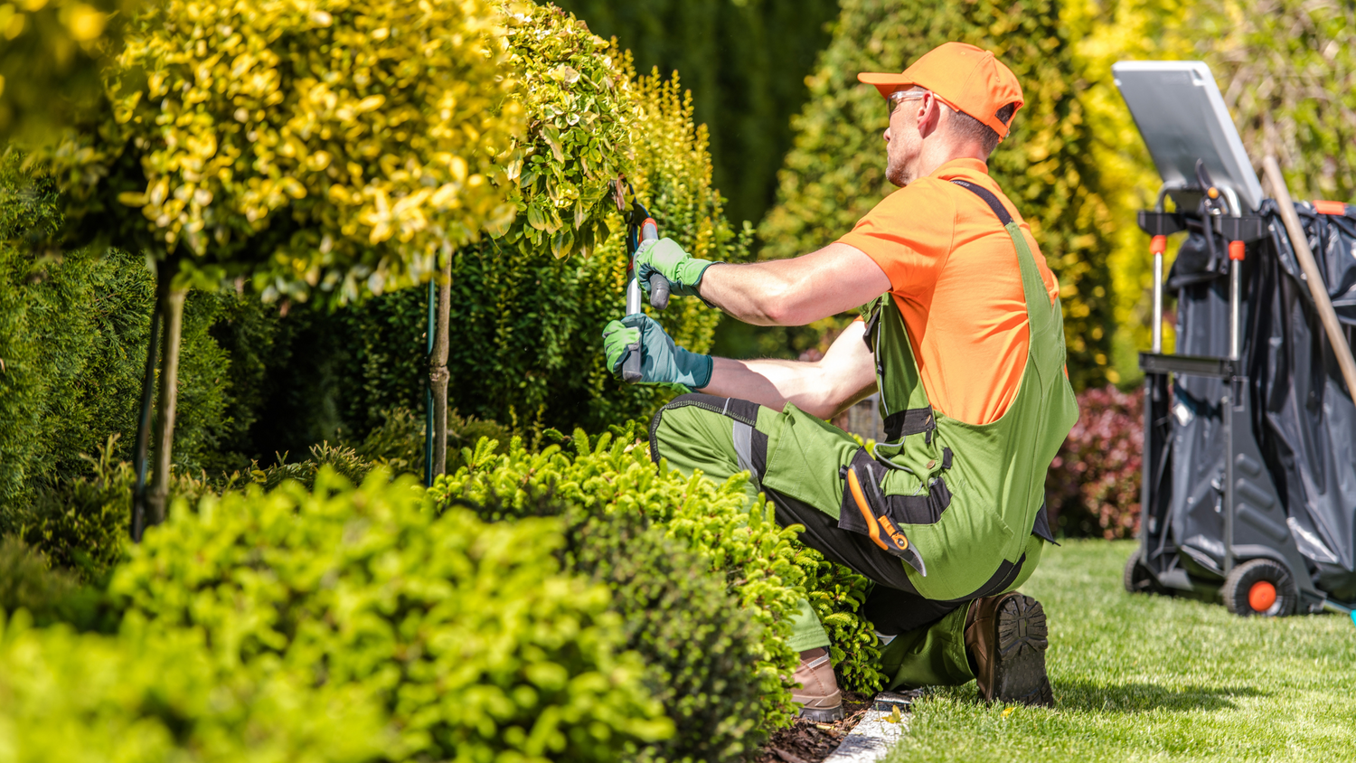 The Ultimate Guide to Picking Landscaping Plants