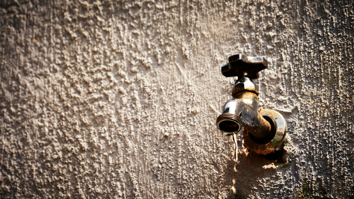 Water Conservation Tips for Summertime Sustainability