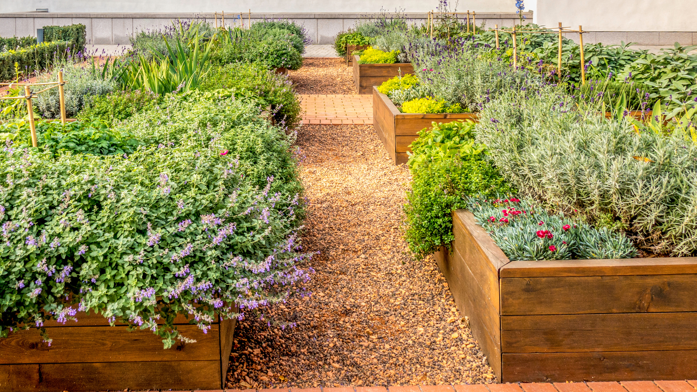 Our Guide to Raised Bed Gardening