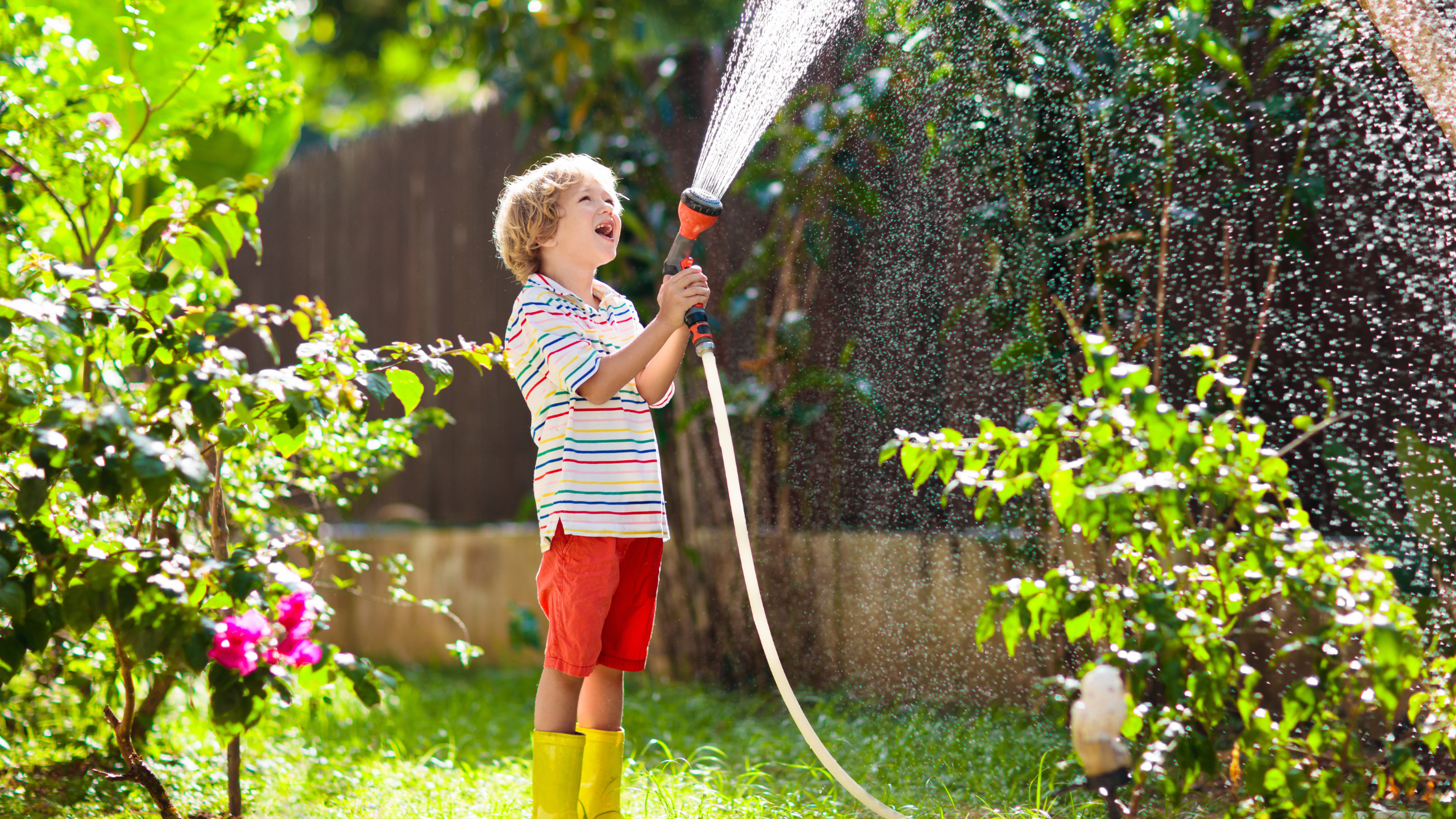 How to Increase Water Pressure in Your Garden Hose: Techniques and Tips